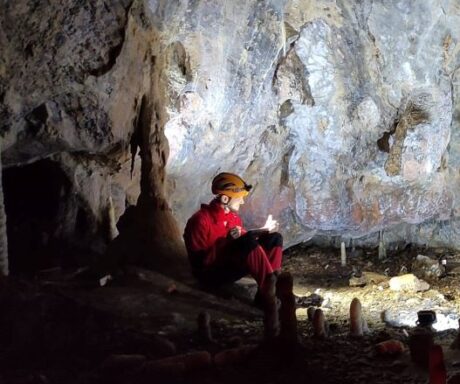 Carlos García Noriega-Villa