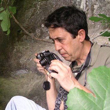 Cesar González Sainz