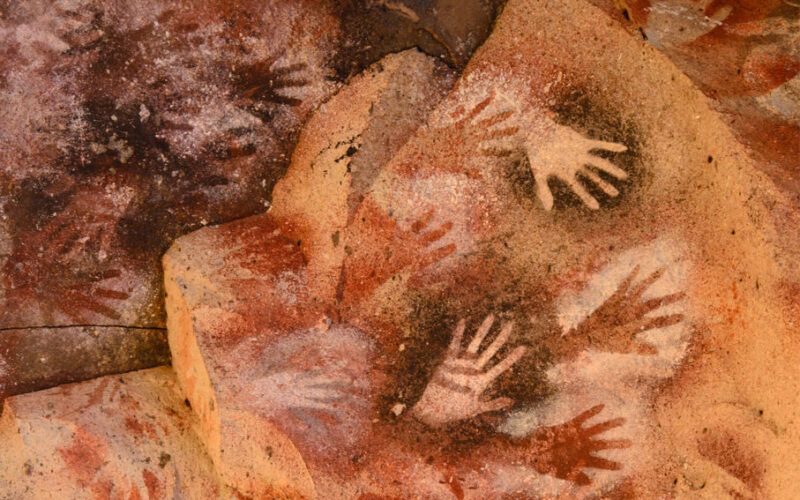 Órganos del Instituto: Órganos de Gobierno