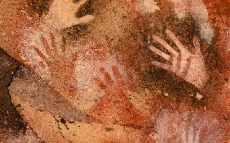 Órganos del Instituto: El Patronato