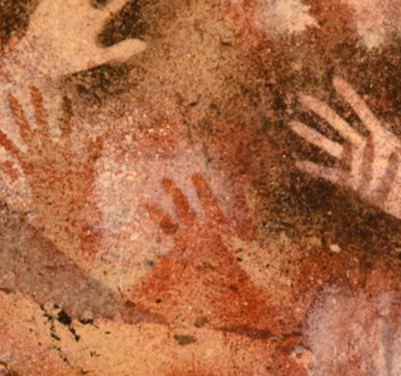 Órganos del Instituto: El Patronato