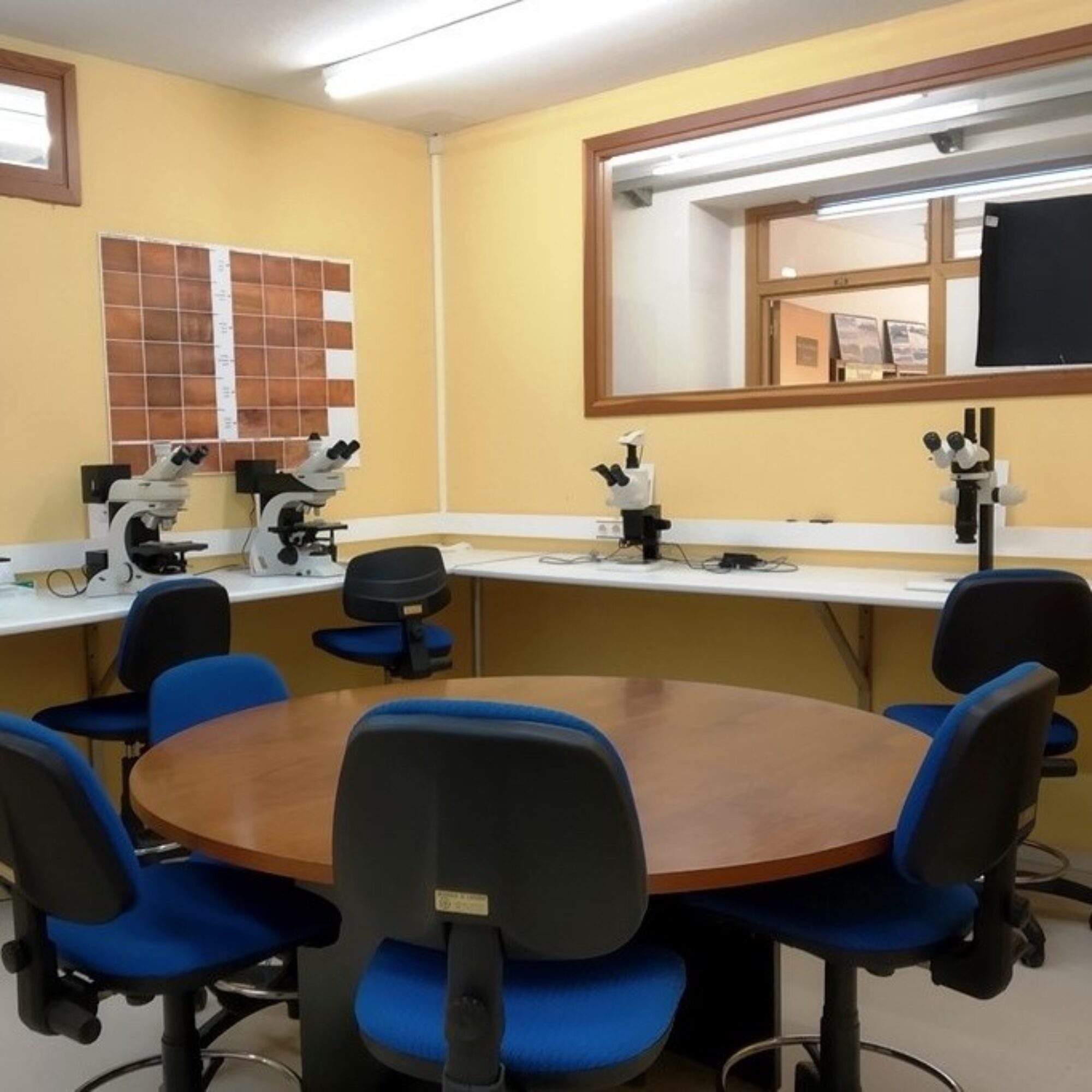 Laboratorio Microscopia