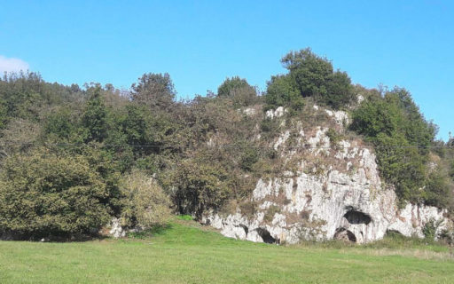 Vista de Los avellanos