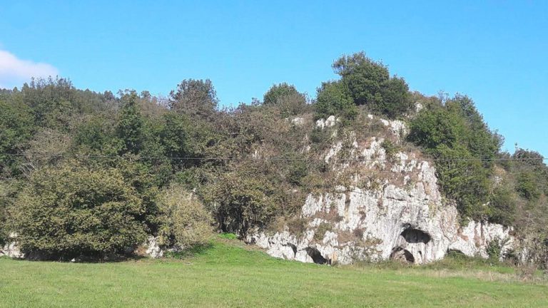 Vista de Los avellanos