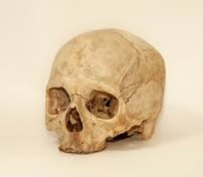 Colección antropológica del IIIPC