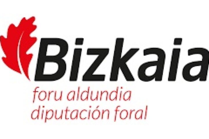 Logo Diputación Foral de Vizcaya