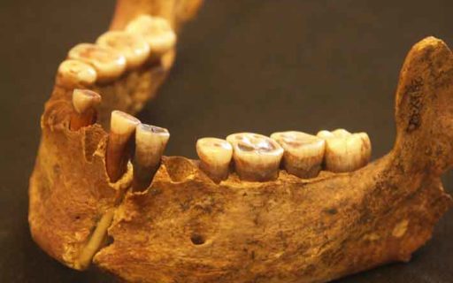 Mandíbula inferior de la Dama Roja de la Cueva del Mirón