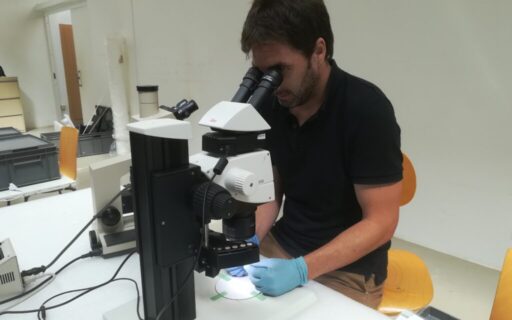 David Cuenca Solana mirando por microscopio.