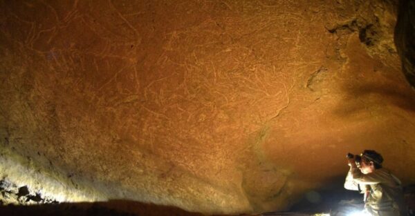 Vista de los grabados del lado norte y techo del sector 1, durante los trabajos de documentación.