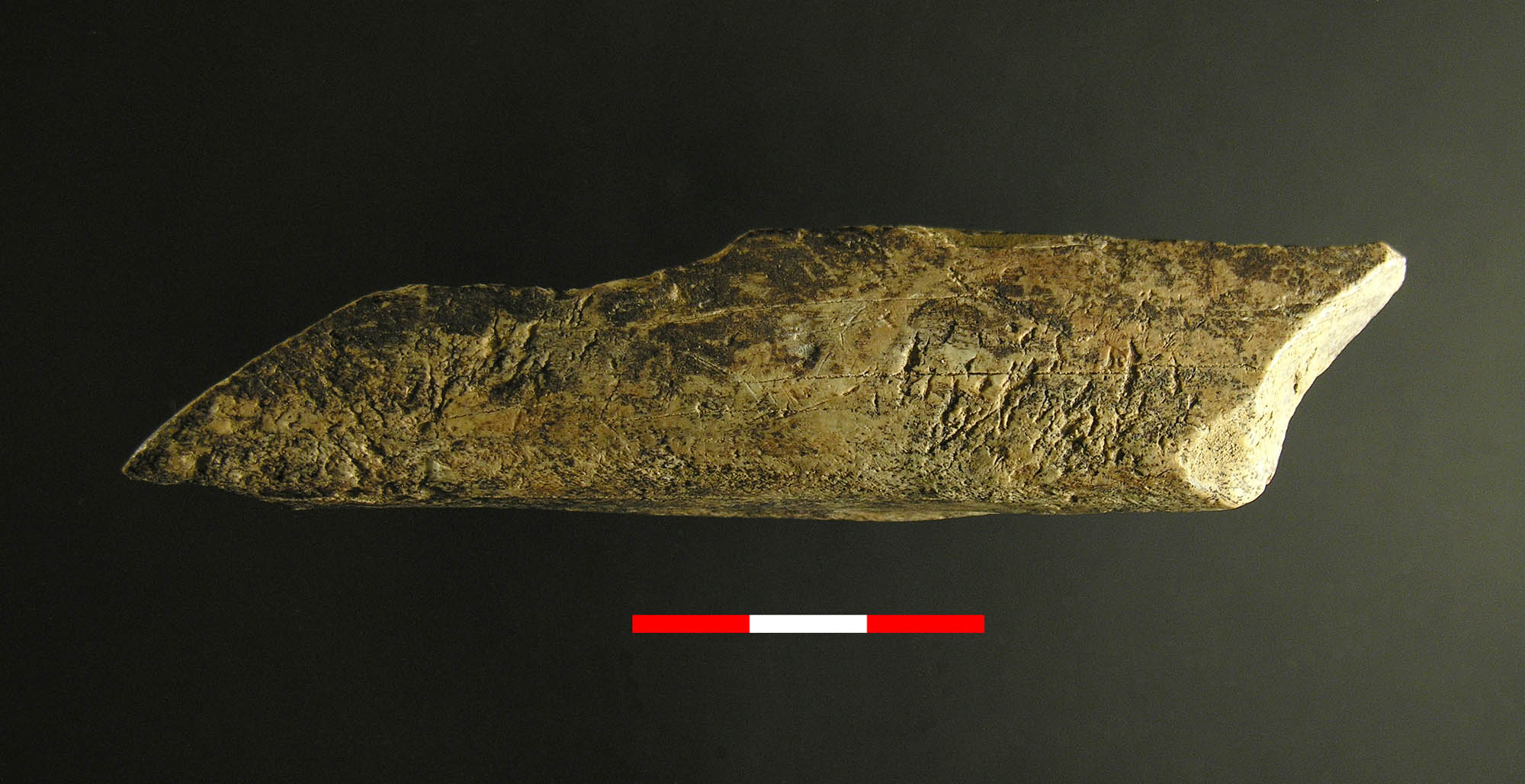Retocador de hueso del yacimiento de Axlor