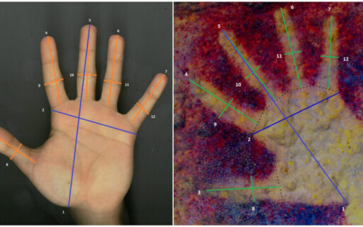 Pintura de manos infantiles prehistóricas