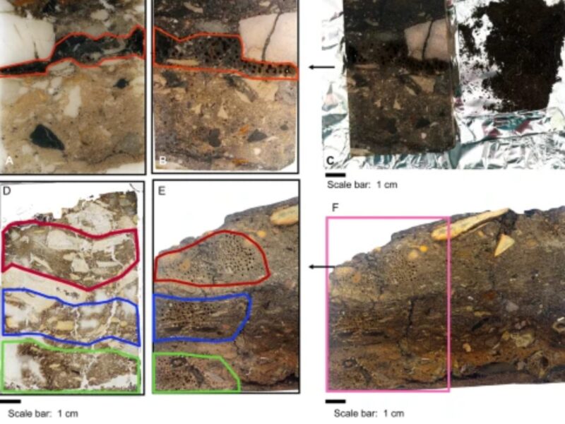 Nuevo método identificación restos orgánicos en Axlor
