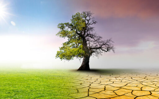 Cambios climáticos en la prehistoria