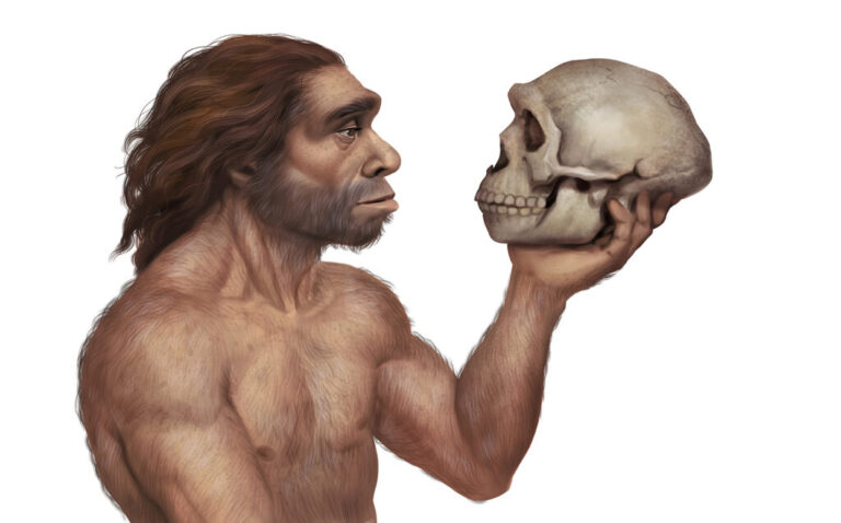 ¿Qué aporta la herencia neandertal a los humanos actuales?