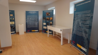 La protección del patrimonio