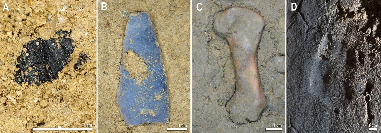 Algunas-evidencias-localizadas-enlos-sectores-decorados-de-la-cueva-de-Atxurra
