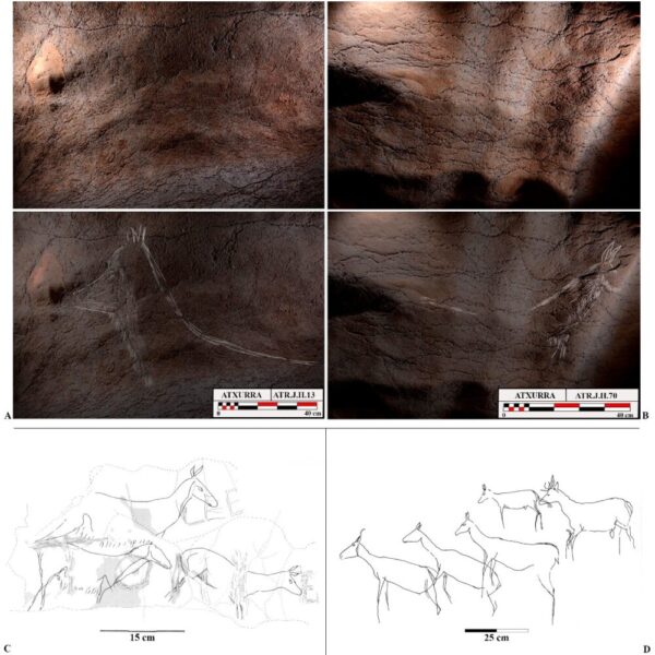 Ciervas grabadas en la composición de la Repisa de los Caballos.