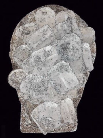 Calvaria glaciaris
