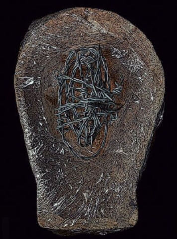 Clavaria mortificatis
