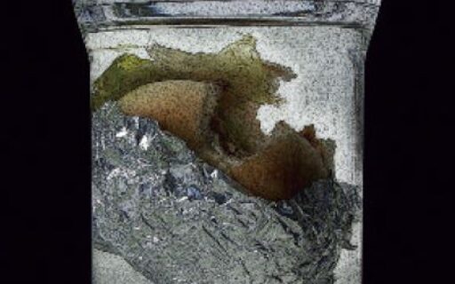 U.B.A. (Unidad Básica de Alimentación)