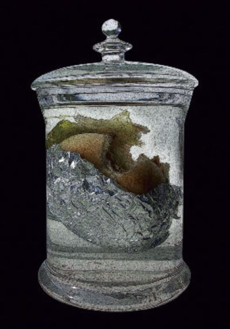 U.B.A. (Unidad Básica de Alimentación)