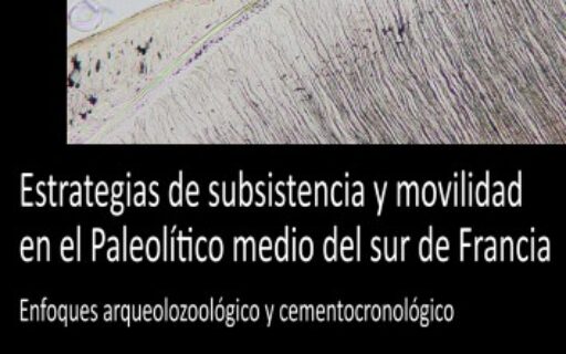 Estrategias de subsistencia y movilidad en el Paleolítico medio del sur de Francia
