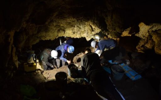 Excavación cueva de La Chora