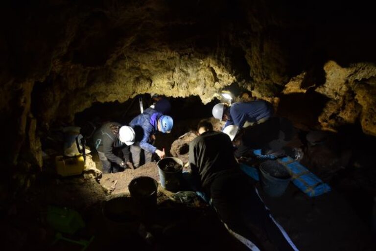 Excavación cueva de La Chora