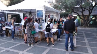 Noche de los investigadores