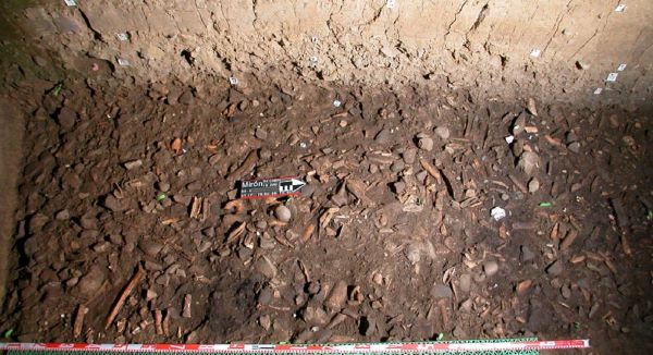 Detalle del nivel 17 adscrito al Magdaleniense inferior en la zona de La Cabaña (Autoría M.R. González Morales).