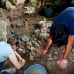 Programa de trabajos de campo 2025