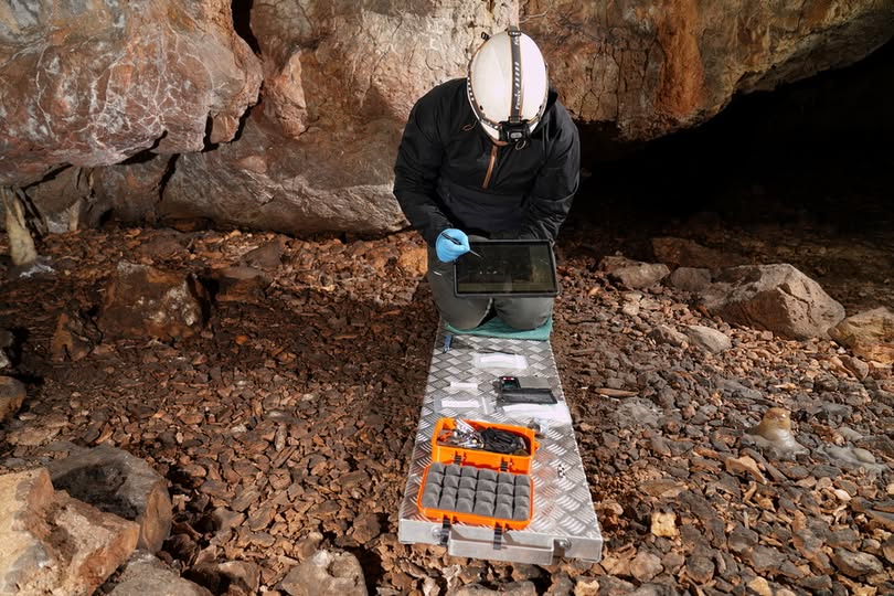 Cueva de La Garma