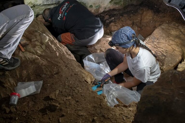 Investigaciones arqueológicas de campo en la Cueva de Chufín. Campaña 2025.
