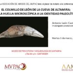 «El colmillo de león de la cueva de Altamira: de la huella microscópica a la identidad paleolítica» en «La Pieza del mes»