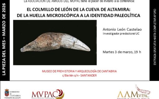 «El colmillo de león de la cueva de Altamira: de la huella microscópica a la identidad paleolítica» en «La Pieza del mes»