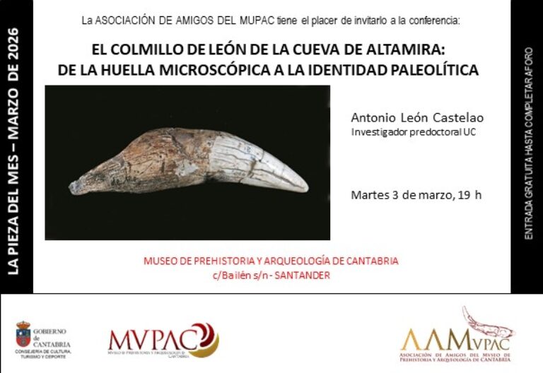 «El colmillo de león de la cueva de Altamira: de la huella microscópica a la identidad paleolítica» en «La Pieza del mes»