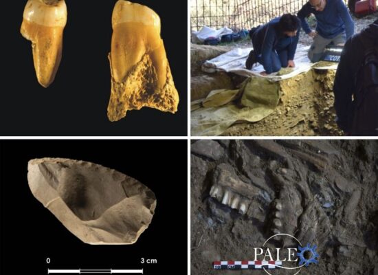 Grupo Paleo